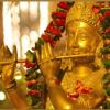 ananda krishna van
