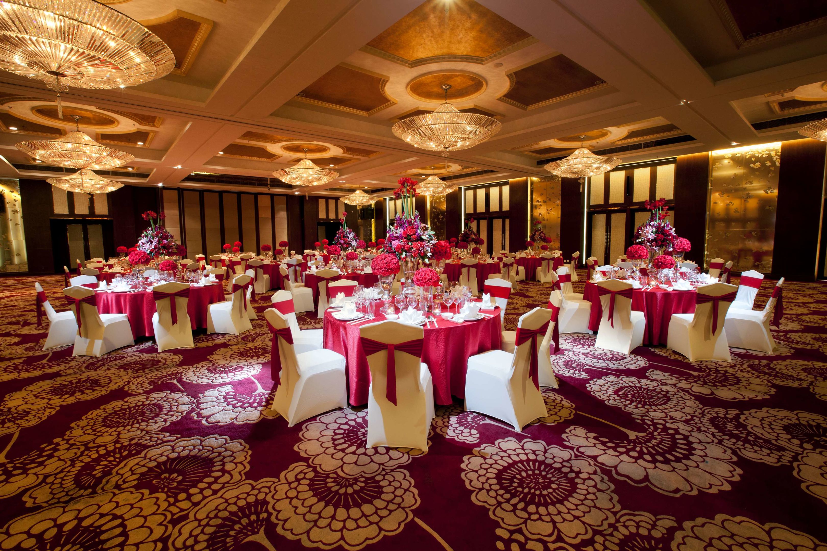 dorsett chengdu