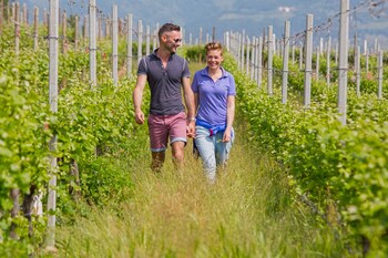 appiano sulla strada del vino