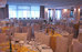 saint george hotel