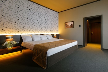 jolly alon hotel