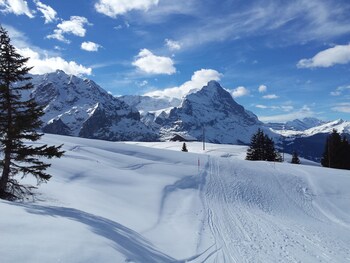 grindelwald