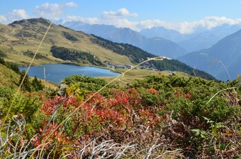 fiesch