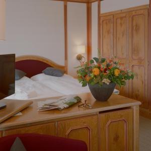 adula hotel