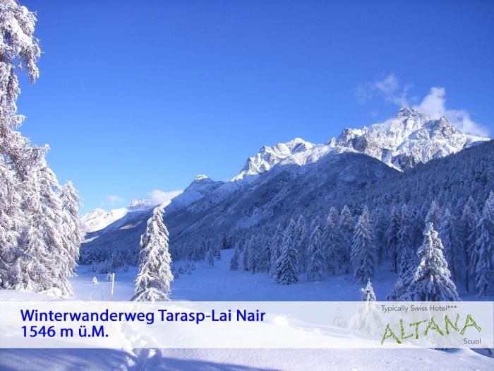 scuol