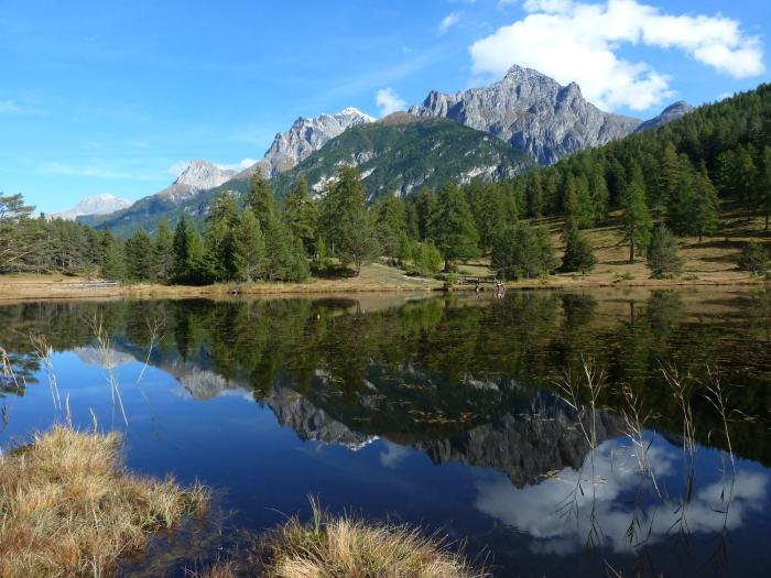 scuol