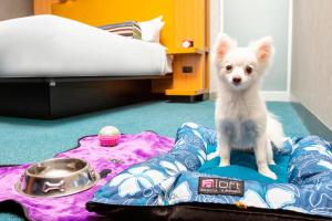 aloft bogota airport