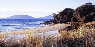 swansea
