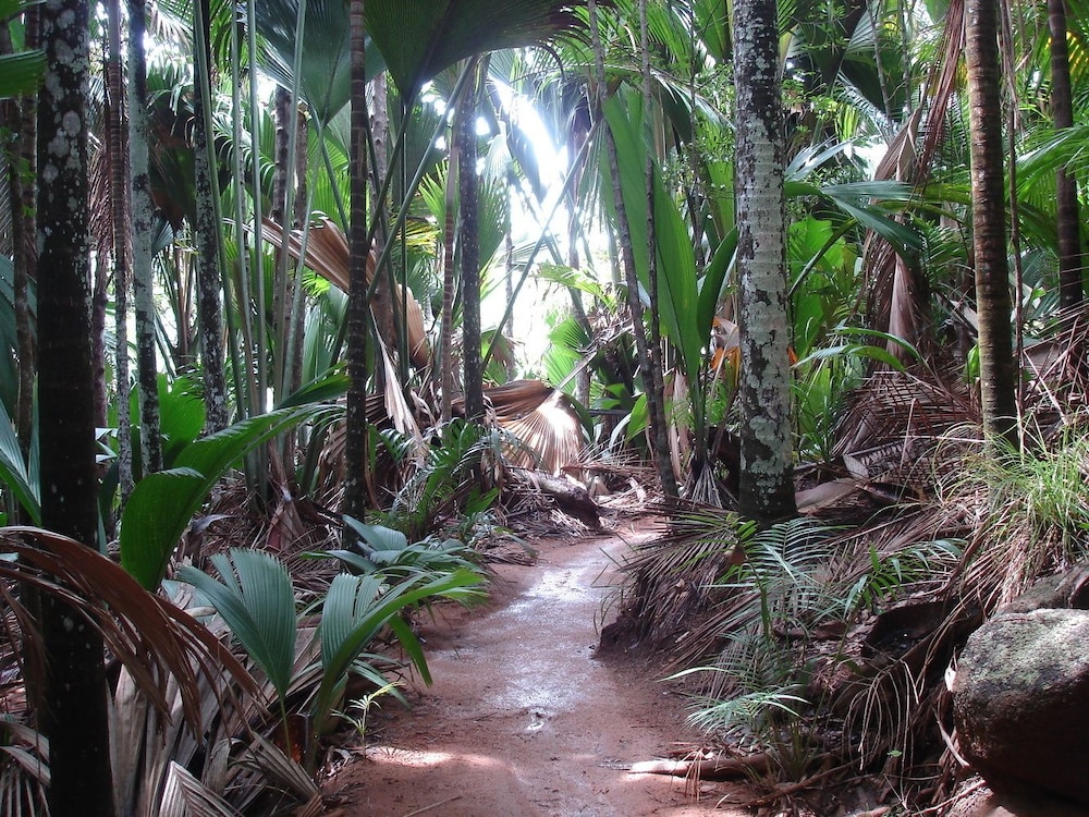 castello beach hotel