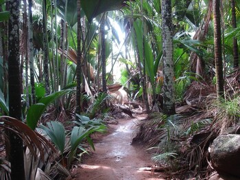castello beach hotel