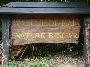 castello beach hotel