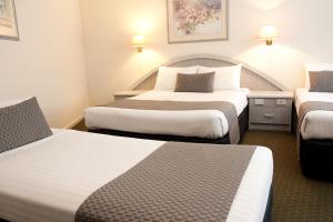 adelaide royal coach