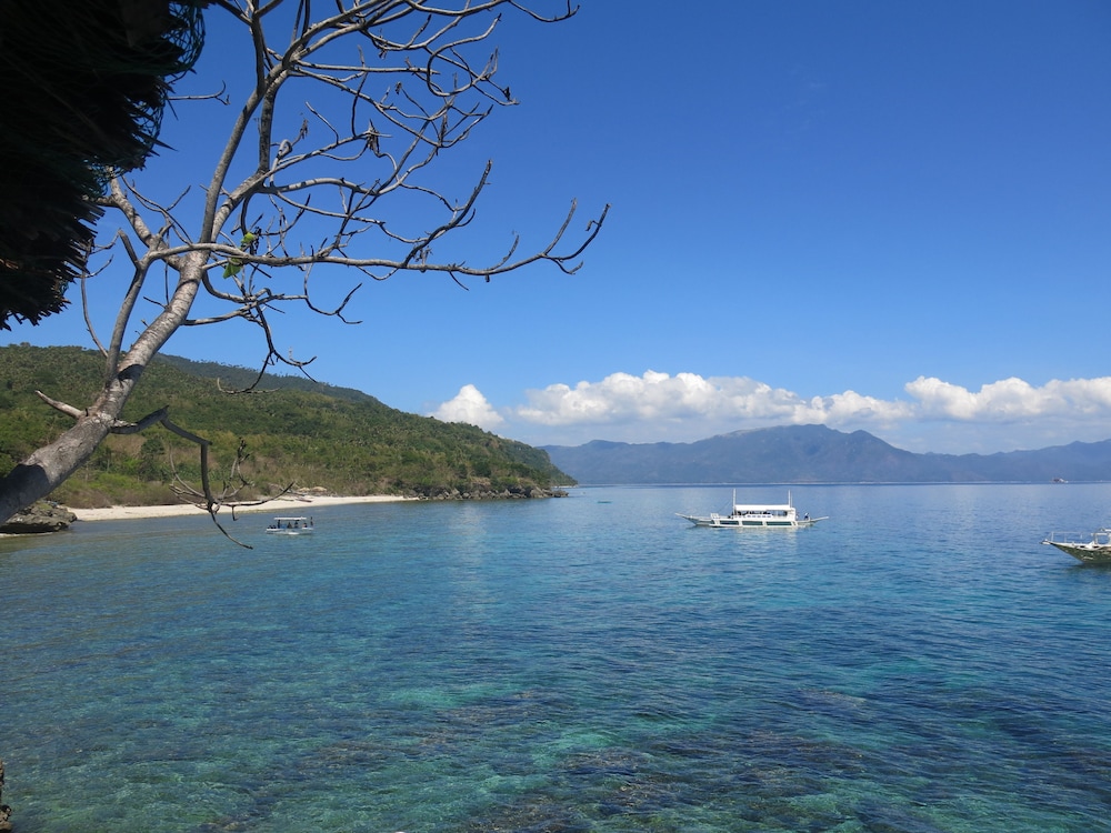 badladz beach and dive resort