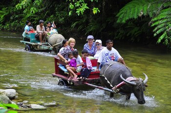 Badladz Beach And Dive Resort,Puerto Galera>>Maricaban Island,4 star