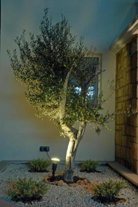 paphos