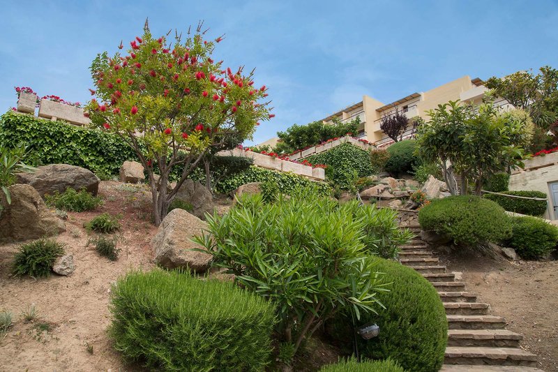 almadraba park hotel