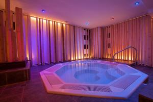 hotel piolets soldeu centre