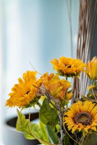 abalona hotel and apartments