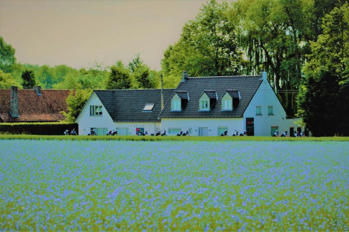LandMark-Image