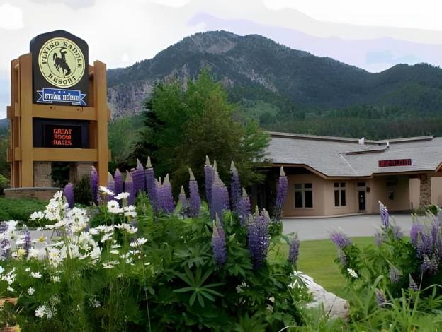 flying saddle resort