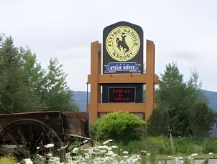 flying saddle resort