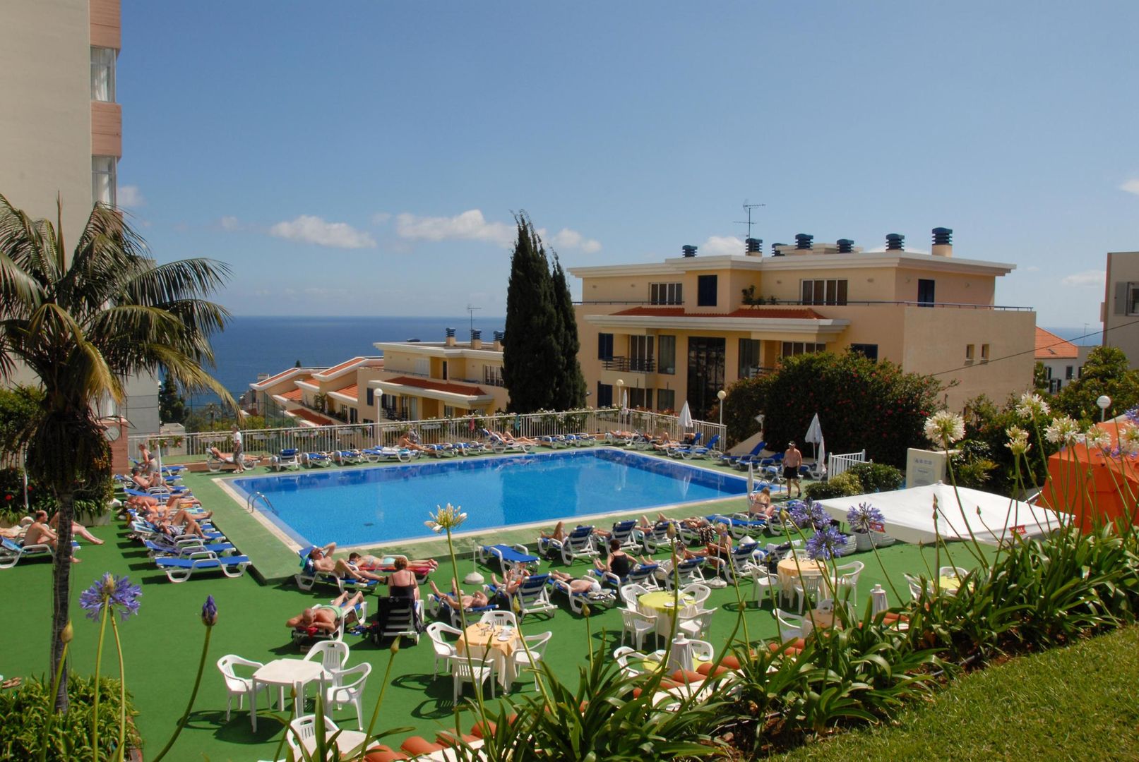 dorisol mimosa studio hotel