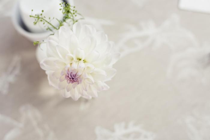 sankt anton am arlberg