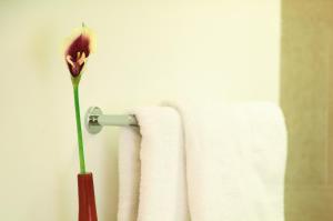 sankt anton am arlberg