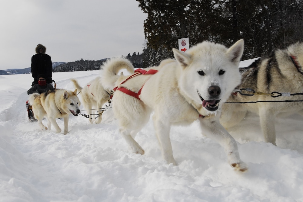 saint alexis des monts
