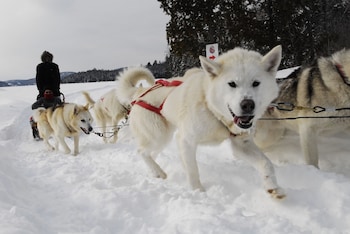 saint alexis des monts