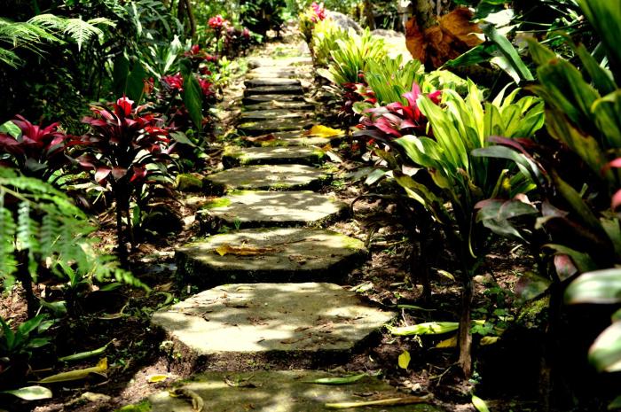 santa cruz de turrialba