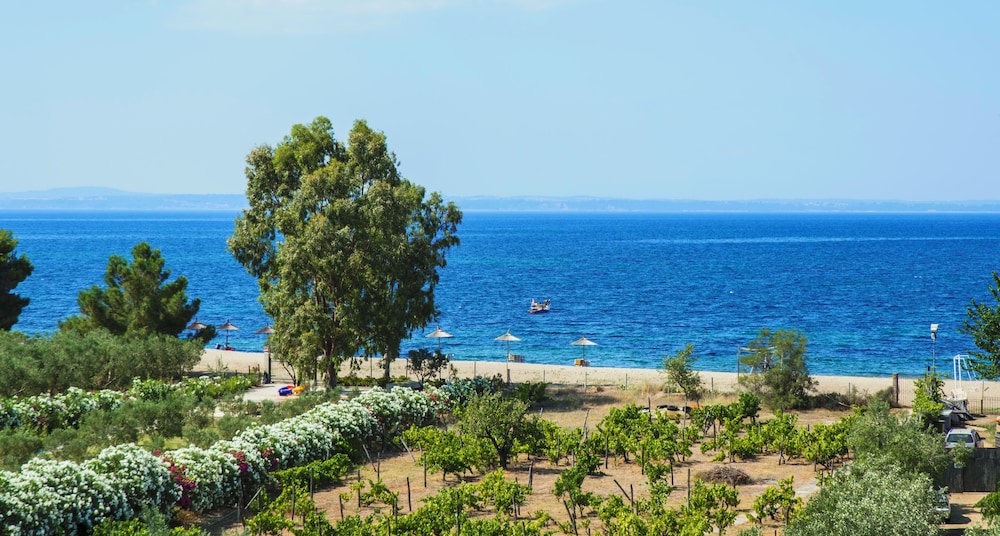 coral blue beach hotel