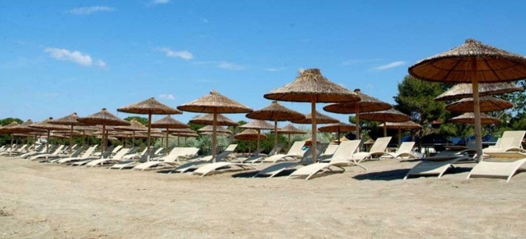 coral blue beach hotel