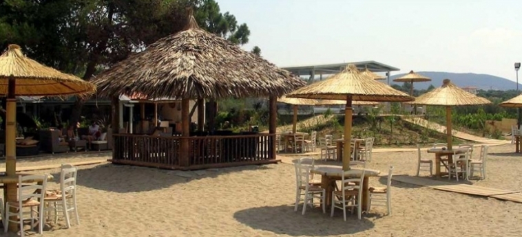 coral blue beach hotel