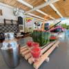 theo bungalows kriopigi