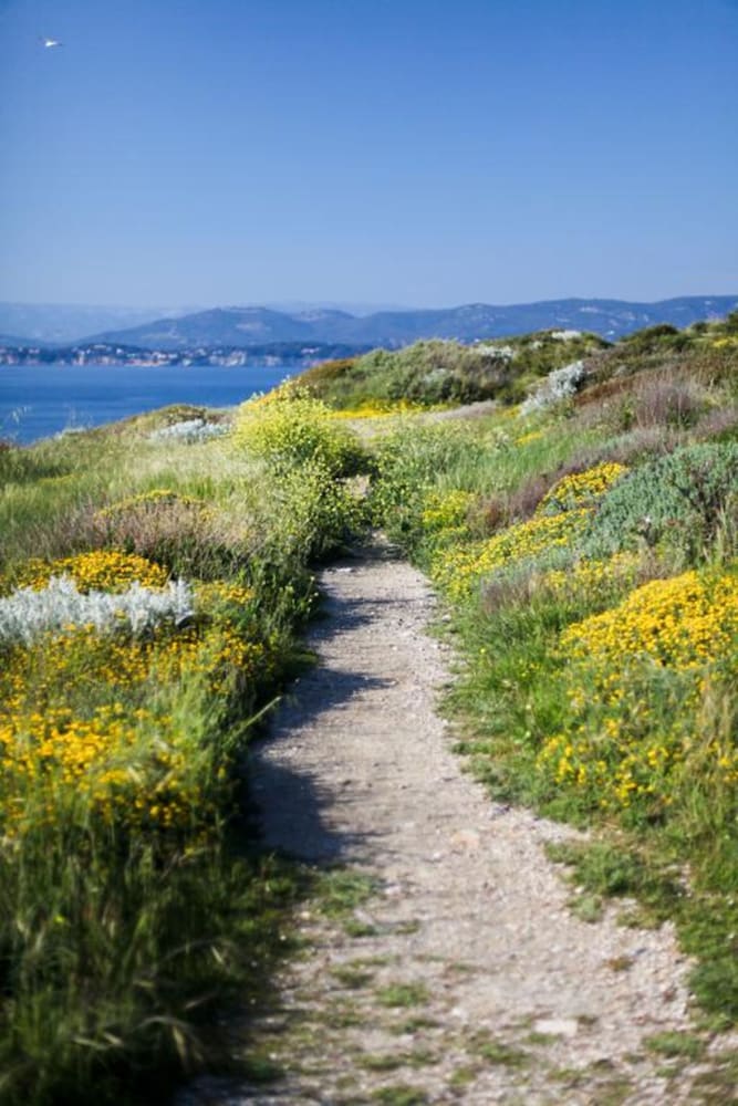 six fours les plages