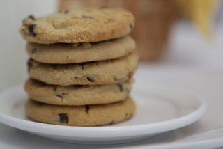 silver surf gulf beach resort