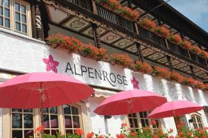 Alpenrose Bayrischzell Hotel & Restaurant,Bayrischzell>>Bavaria,3 star