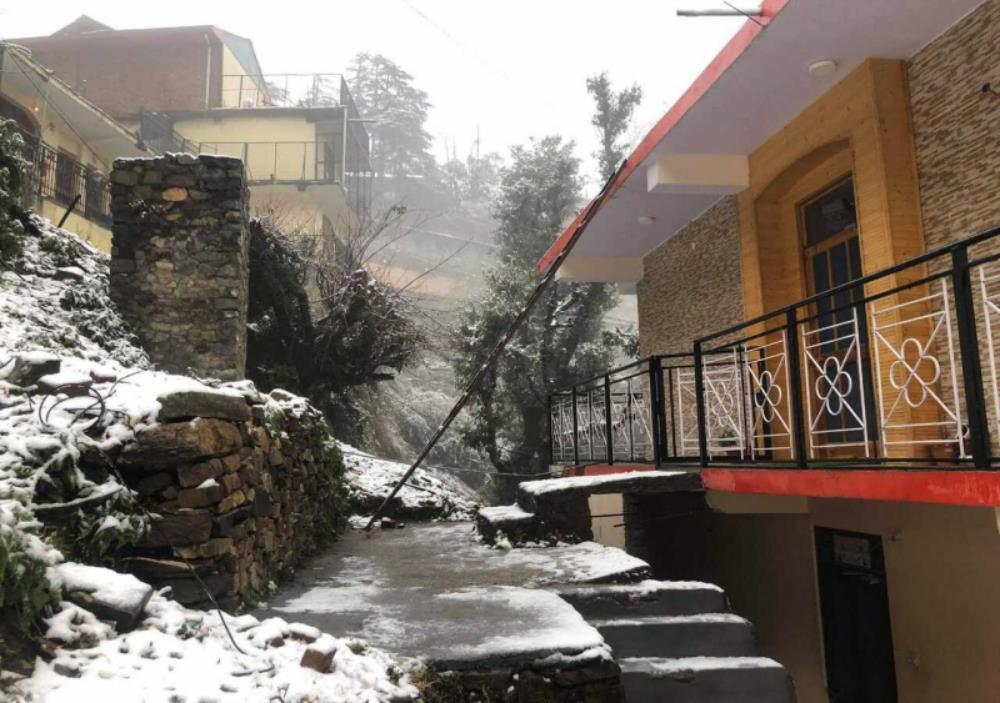 Love Kush Cottage,Shimla>>Jutogh,3 star