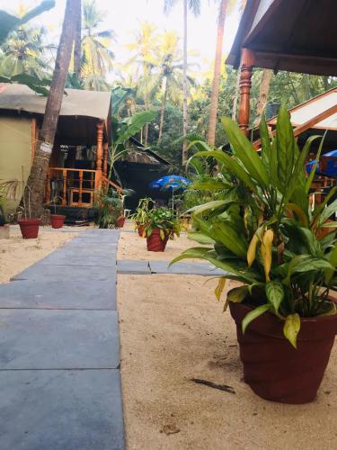 The Charming Nights,,3 star