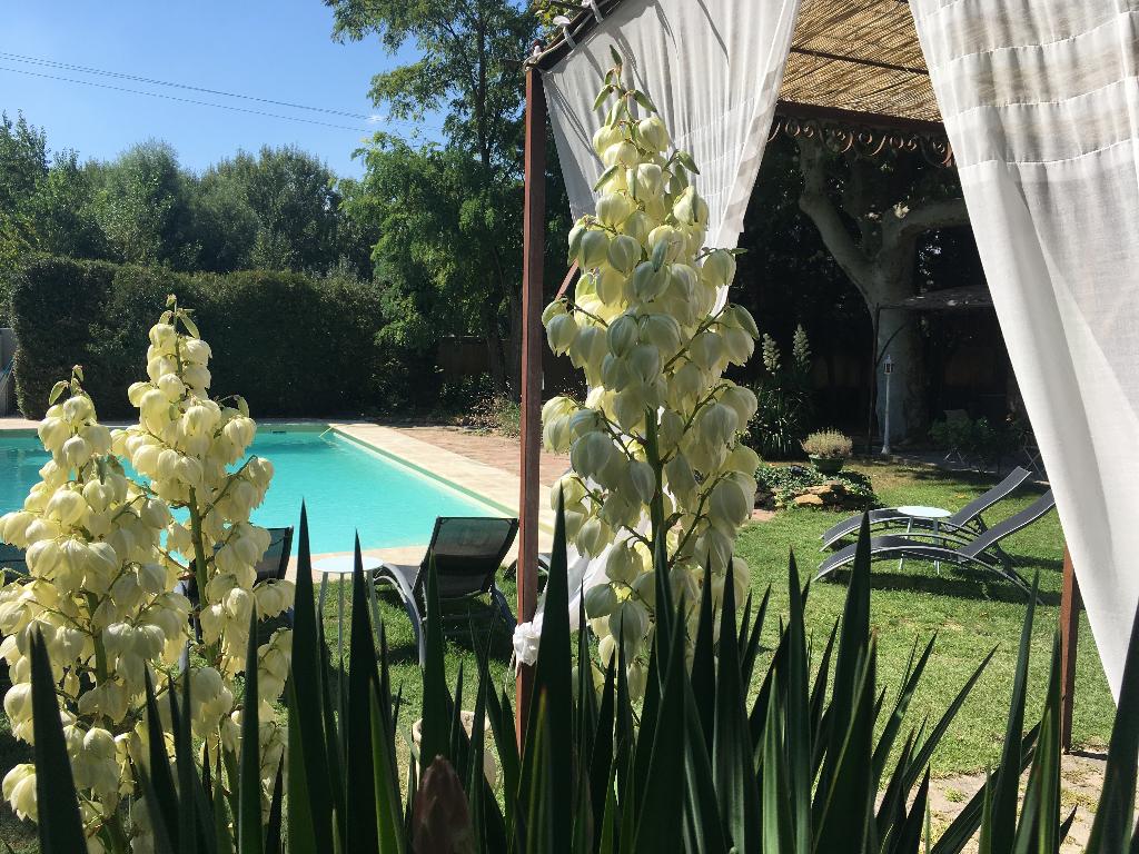 la sommellerie