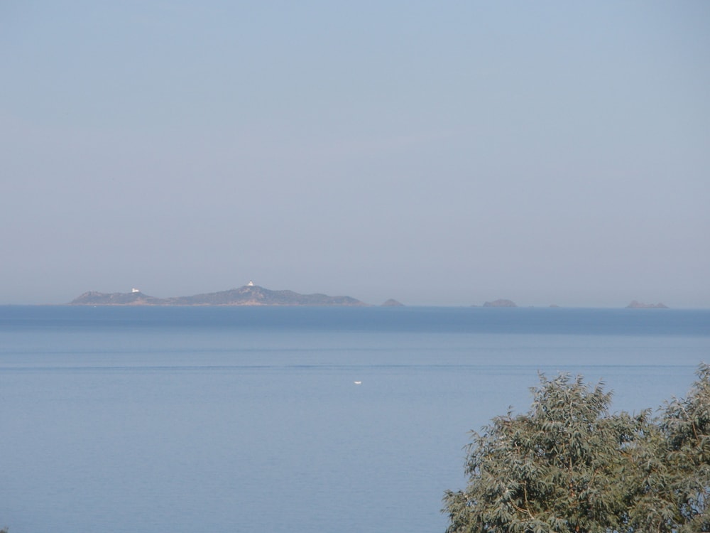 coti chiavari