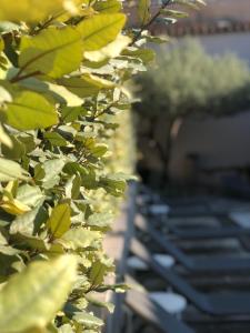 hotel les magnanarelles