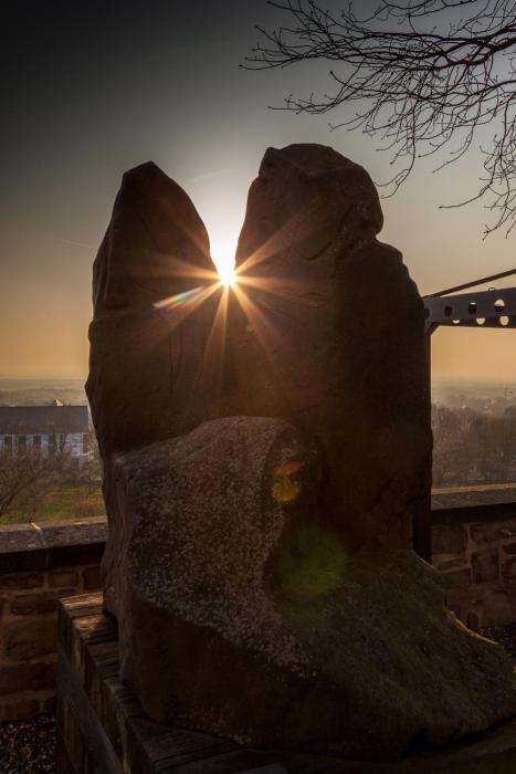 kardinal schulte haus