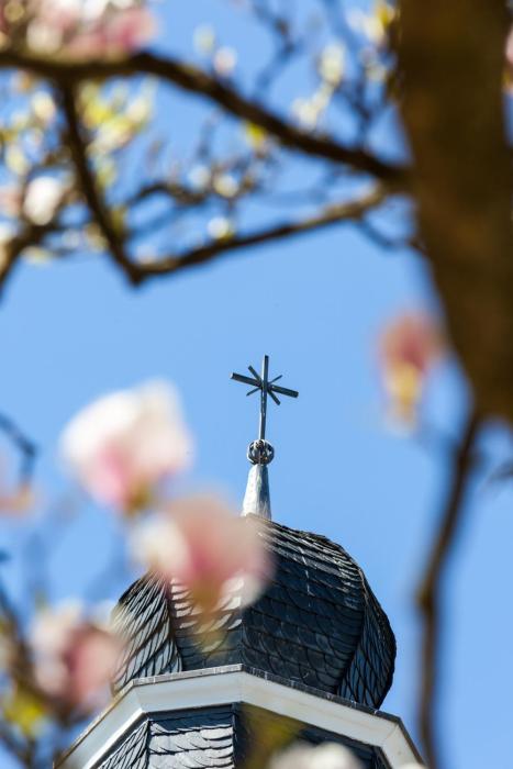 kardinal schulte haus