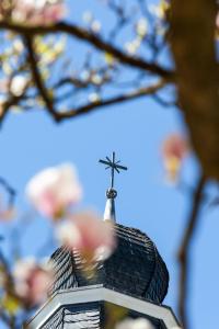 kardinal schulte haus