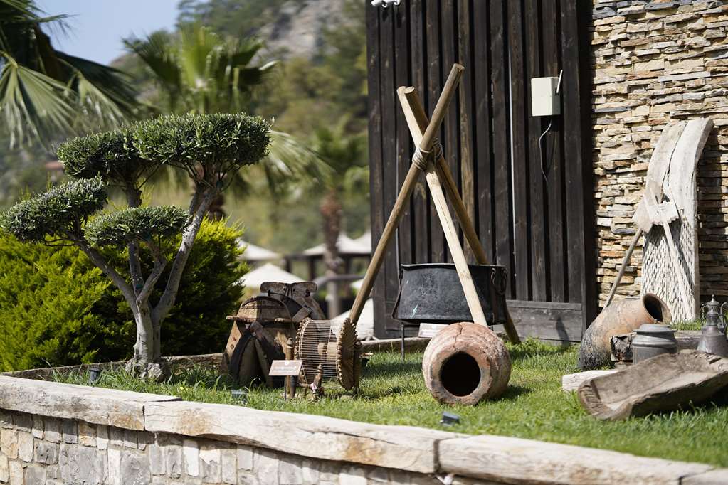 manaspark deluxe hotel