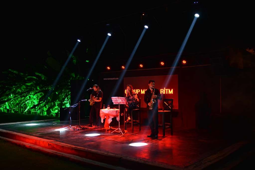 manaspark deluxe hotel