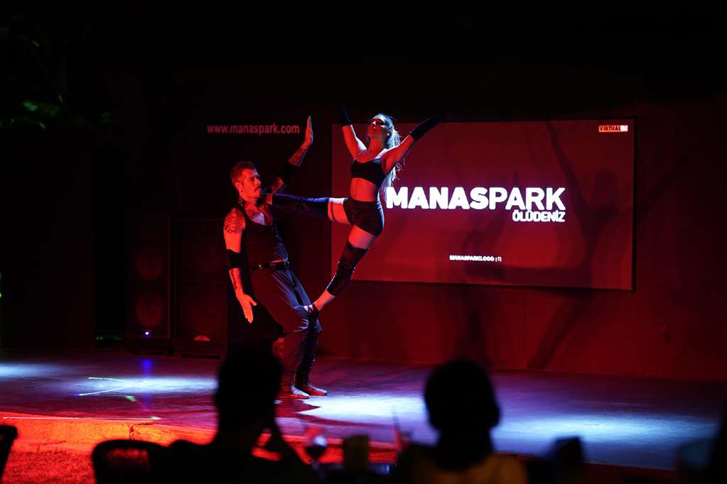 manaspark deluxe hotel