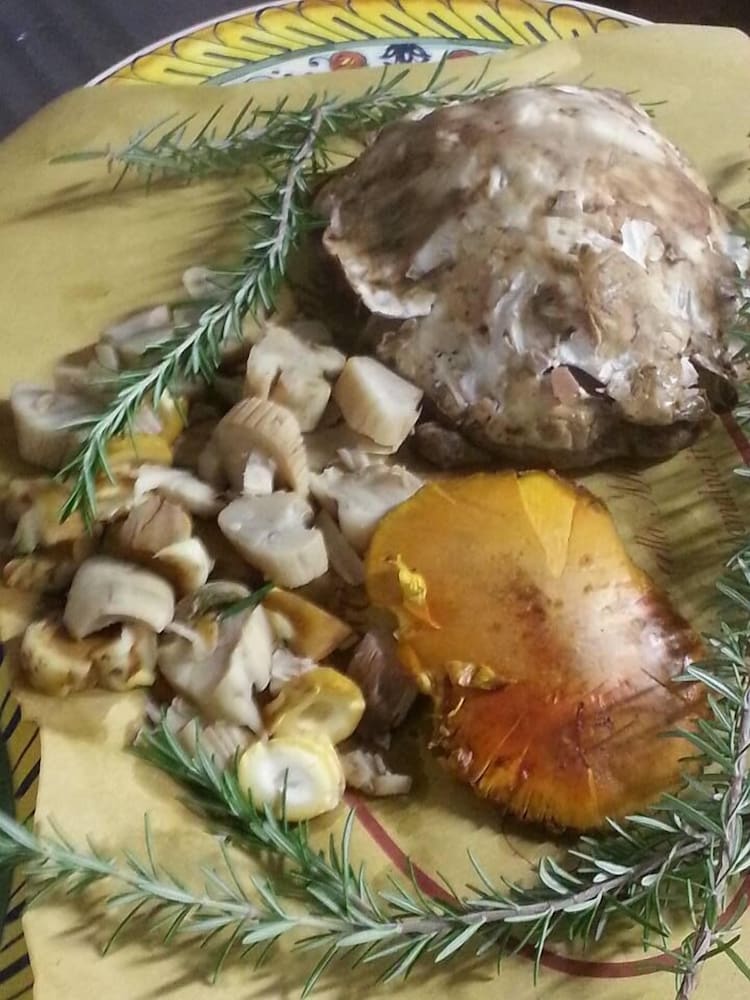 hotel villa la malva